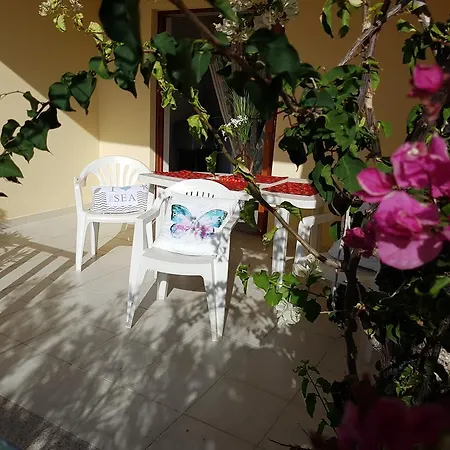 Le Palme